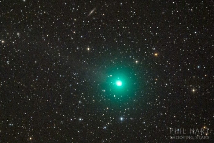 A Christmas Comet to be Seen From Dark Skies